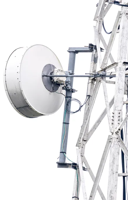Microwave backhaul dish mounted on a lattice tower
